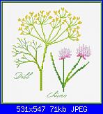 Piante/erbe aromatiche.-cover-jpg