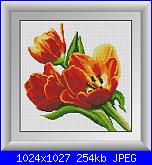 Tulipani-cover-jpg