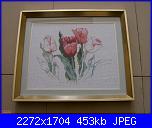 Tulipani-tulips00-jpg