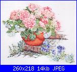 Ortensie-tg-2078-pink-hydra-jpg