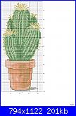 cactus-7-jpg