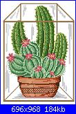 cactus-11-jpg