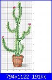 cactus-13-jpg