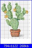 cactus-17-jpg
