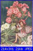 DMC The Flower Fairies (Cicely Mary Barker) *-003-floks-p-omyk-wiechowaty-phlox-paniculata-jpg
