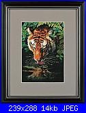 Schemi "Dimensions"-tiger_reflection_01-jpg