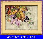 Riolis-blackberries-jpg