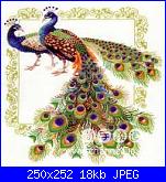 Riolis-881298152081307476-jpg