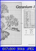 Janet Powers-geranium-i-2-jpg