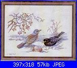 Eva rosenstand-12-543-jpg