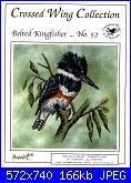 Crossed Wing Collection n.52 - Belted Kingfisher-crossed-wing-collection-n-52-belted-kingfisher-jpg