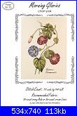 The Lilac Studio n.10 - Morning Glories - Cindy Rice-lilac-studio-n-10-morning-glories-cindy-rice-jpg