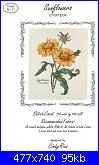 The Lilac Studio n.17 - Sunflowers - Cindy Rice-lilac-studio-n-17-sunflowers-cindy-rice-jpg