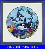 Dimensions 35047 - Circle of Whales-dimensions-35047-circle-whales-jpg