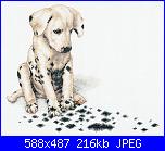 Schemi "Dimensions"-dim35179-achoo-jpg