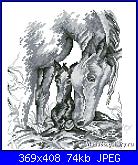 OOE Design Oehlenschlager - 87944 - Cavalli-ooe-design-oehlenschlager-87944-cavalli-jpg