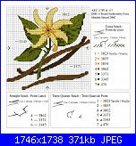 DMC - Secret Perfume - 2008-dmc-secret-perfume-bk988-11-vanilla-2-jpg