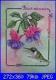 Crossed Wing Collection - Hummingbird 2007 - Black chinned-crossed-wing-collection-hummingbird-2007-black-chinned-jpg