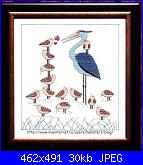 Ikki Matzumoto-105057088_1-jpg