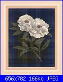 Stefy Palma - Fiori-fiori-_-049-jpg