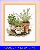 Stefy Palma - Fiori-fiori-_-082-jpg