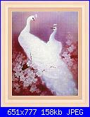 Stefy Palma - Fiori-fiori-_-092-jpg