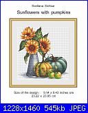 Svetlana Sichkar-cover-jpg