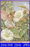 DMC The Flower Fairies (Cicely Mary Barker) *-dmc-pc25-white-bindweed-fairy-jpg