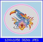 Anna Petunova-cover-jpg