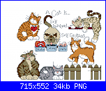 Jeremiah Junction - jj-jj-cat-%5B1%5D-png