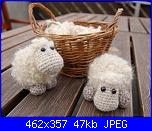 mucche e pecore-pecorella-jpg