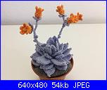 Fiori e piante amigurumi-echeveria-jpg