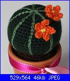 Fiori e piante amigurumi-cactus-rond-jpg