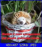 Ma12ri - I miei amigurumi-riccimin-jpg