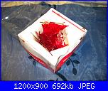 Proposta per regalo staff megghy-vale_2-jpg