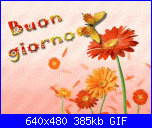 Un tè con Sandra - 2-20092310187_buongiorno-gif