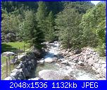 Un tè con Sandra - 2-26062010663-jpg