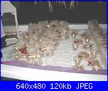 Il matrimonio di mio fratello-matrimonio-dany-e-rosy39-jpg