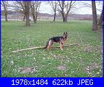 un te' con Sandra 3 - la cascina-bis-jpg