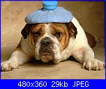 un te' con Sandra 3 - la cascina-mal_di_testa-jpg