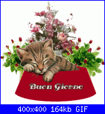 Un tè con Sandra 4 - Villa, Villa Colle-gif_animate_buongiorno_04-gif