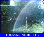 Finalmente in crociera: Per ora restiamo in porto e aspettiamo...-24062007-009-jpg