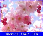 Benvenuta Primavera...-foto_primavera_304n-jpg