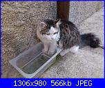 L'agorà ciarliero... chiacchiere in libertà!!!-090-jpg