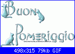 nuovo programma televisivo-buon-pomeriggio-gatti-gif