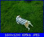 E' anche quest'anno la juve ha vinto lo scudetto!!!!-foto0175-jpg