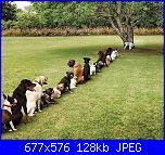 per sorridere un pò!-y3usetas-jpg