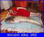 per sorridere un pò!-7809e9cfab025052c7eb4a60271fee07-jpg