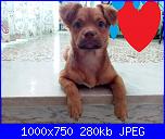 Chiacchiere dal 28 agosto-img_20170614_190808-jpg