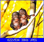 Eccovi la soluzione giusta per avere sempre il monitor pulito!!!-smile-jpg